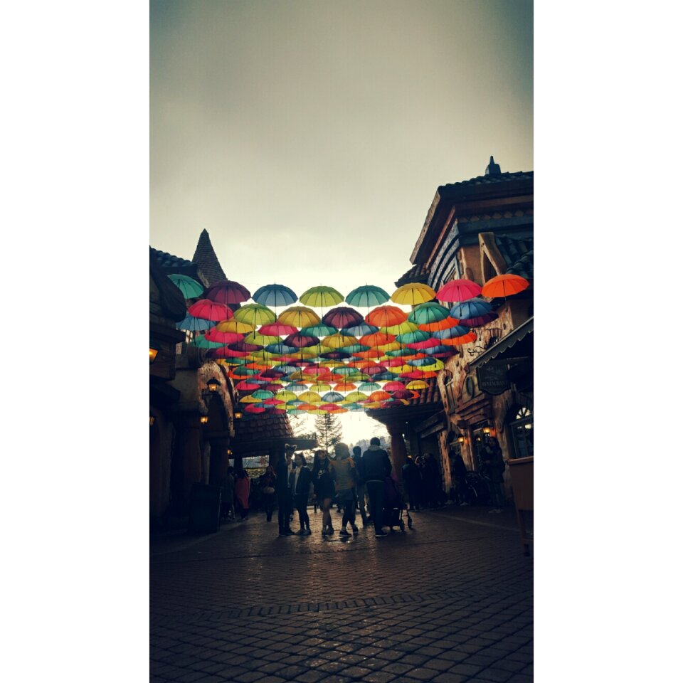 Umbrella everland tabitha