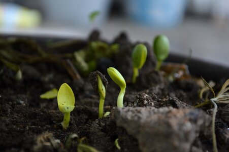 Nature soil moisture