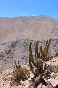 Mountain chile elqui