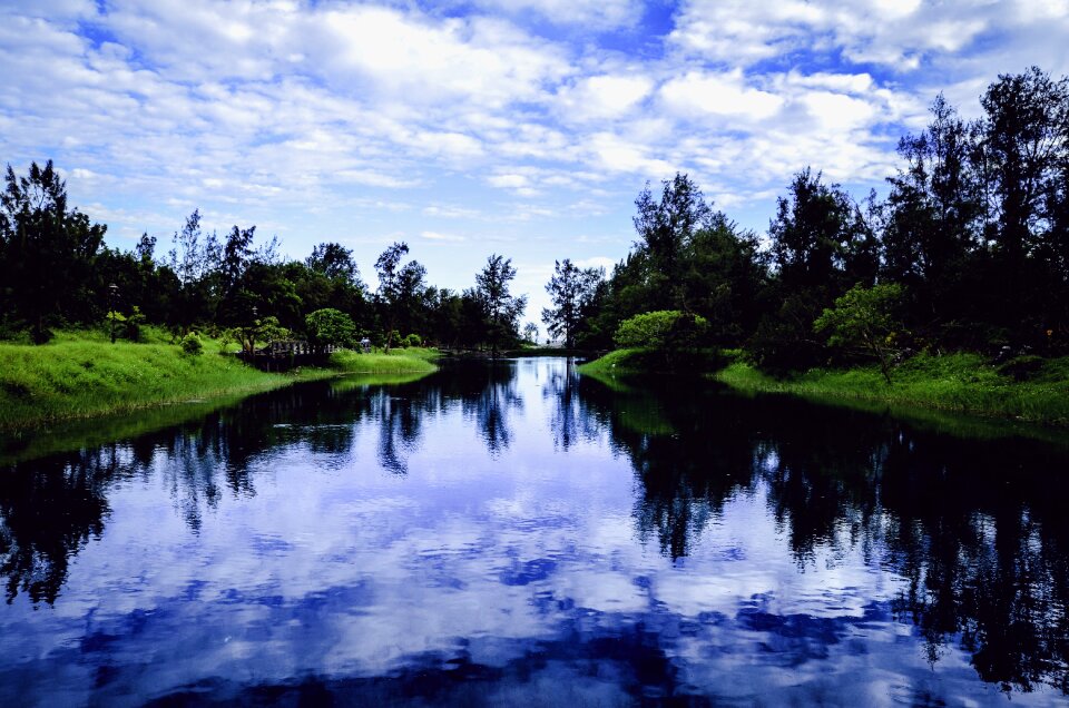 Forest grass lake photo