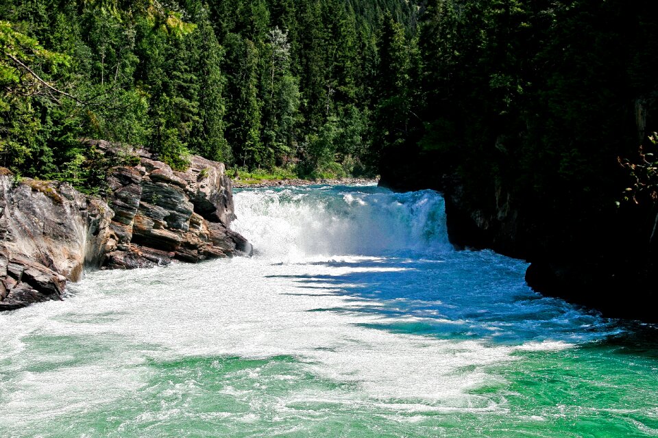 Nature water forest