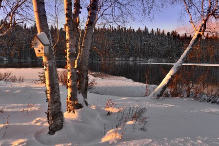 Birch lake winter photo