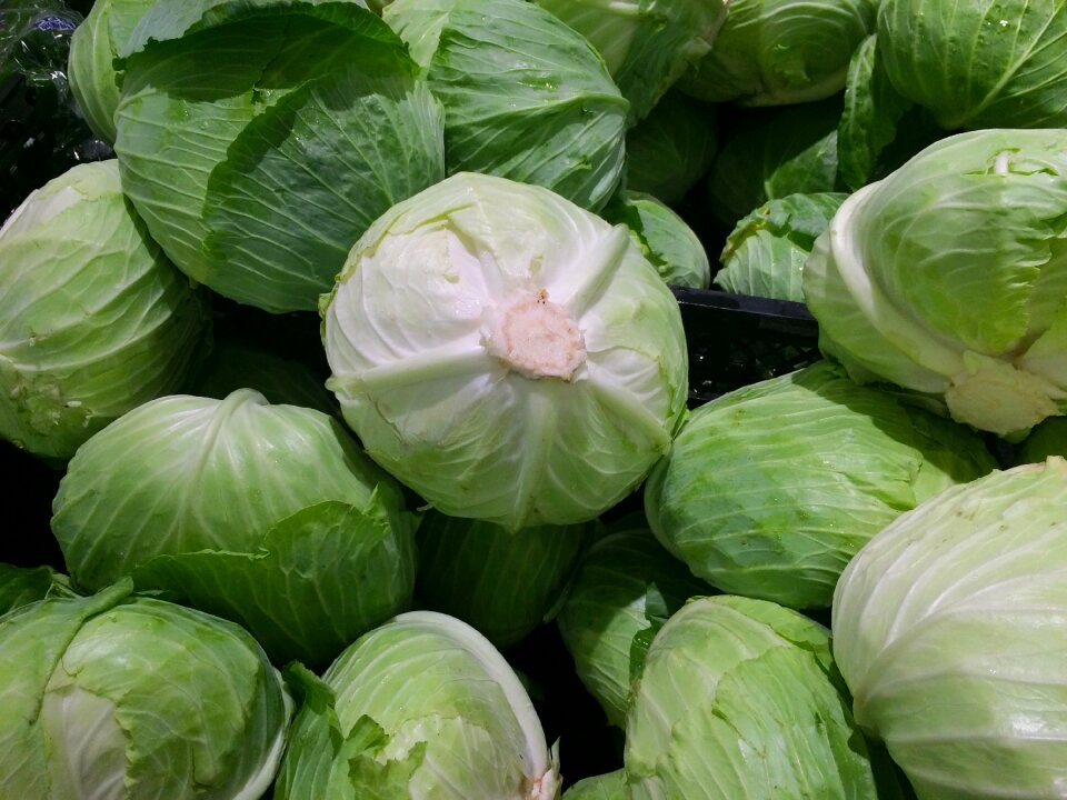 Green leafy pile up