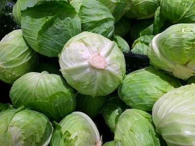 Green leafy pile up