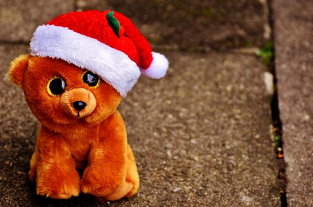 Stuffed animal soft toy santa hat photo