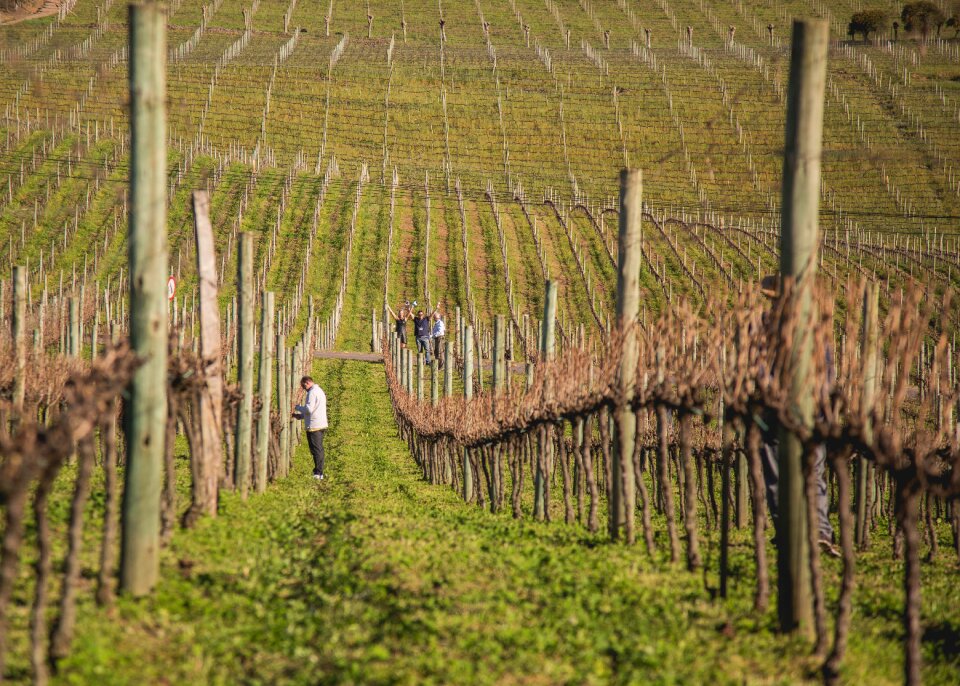 Winter serra gaucho bento gonçalves
