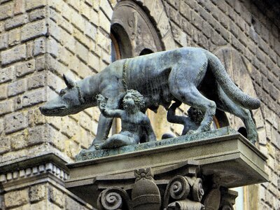 She wolf romulus remus
