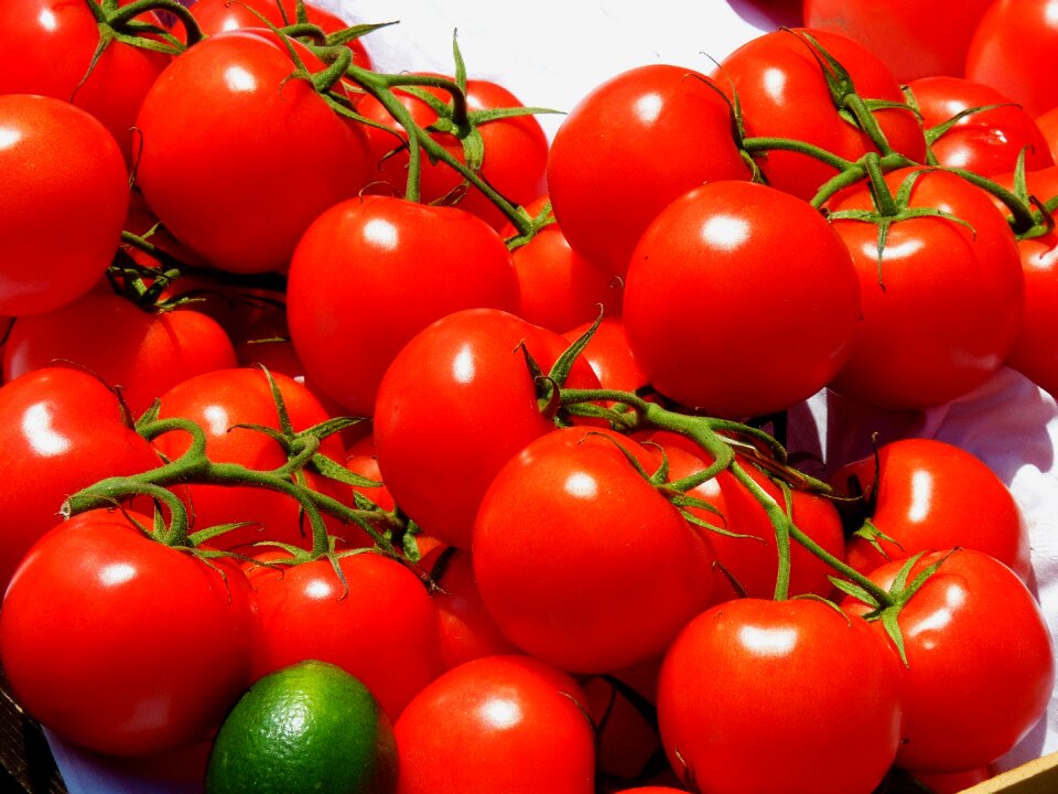 Red food delicious