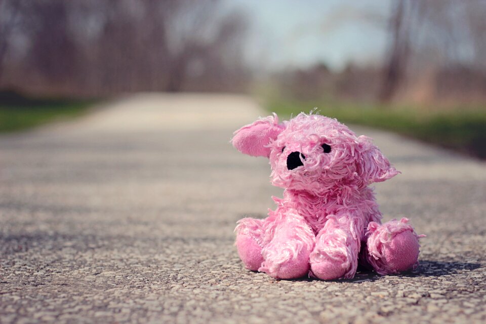 Doll stuffed animal