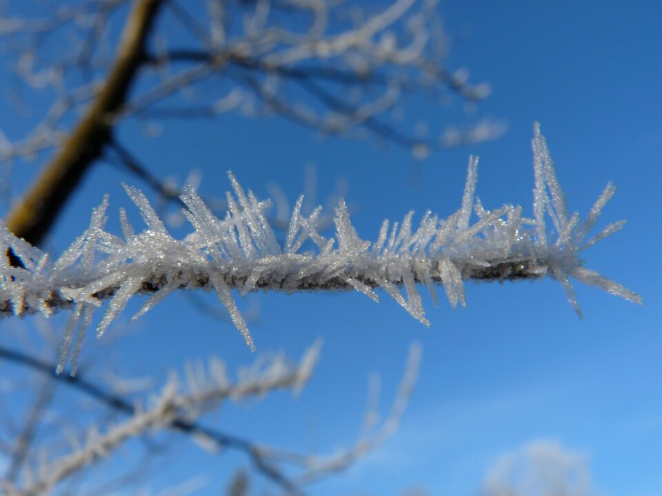 Winter cold frozen