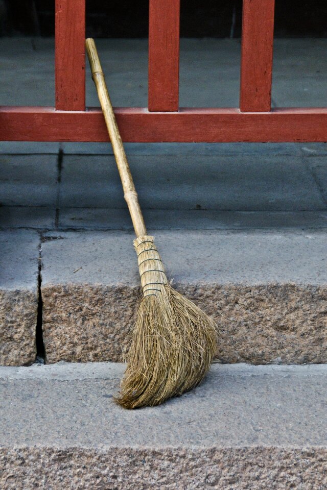 Broom straw household