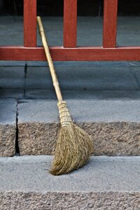 Broom straw household
