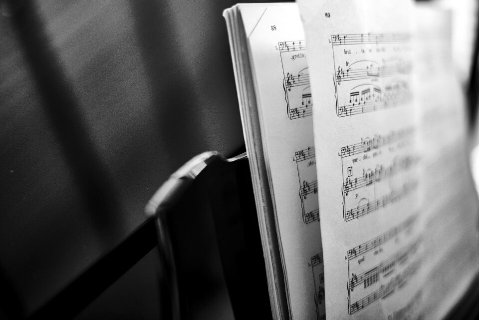Musical notes pages paper
