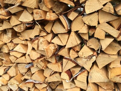 Wood texture natural birch