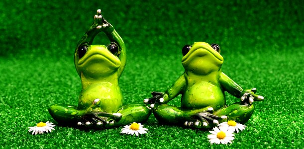 Figure animal green