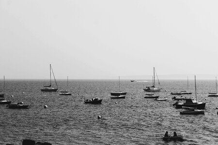 Harbor sad sea