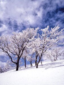 Cloud blue sky shirakami-sanchi photo