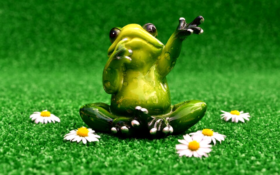 Meadow funny cute