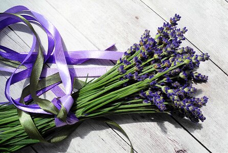Purple flower bunch of flowers green