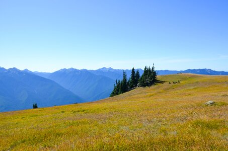 Hurricane ridge olympic national park mountains