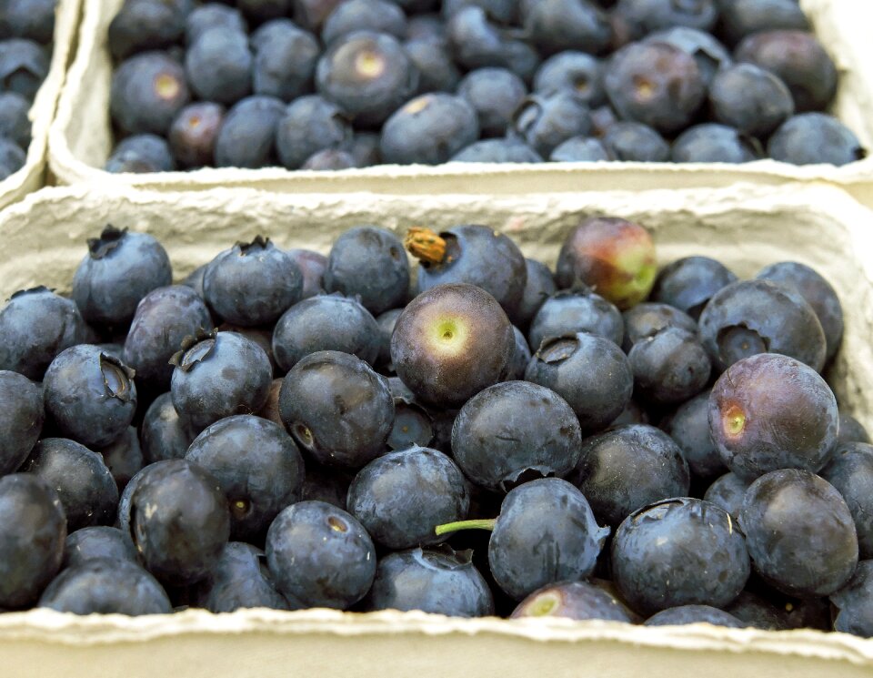 Fruits blue vitamins