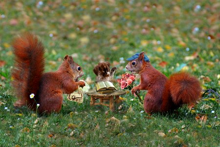 Judge nature tenderness