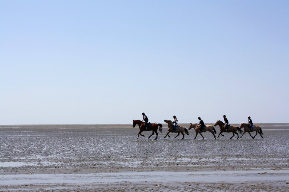 Please appreciate national park wadden sea
