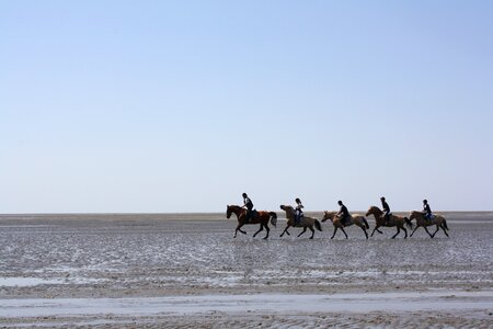 Please appreciate national park wadden sea