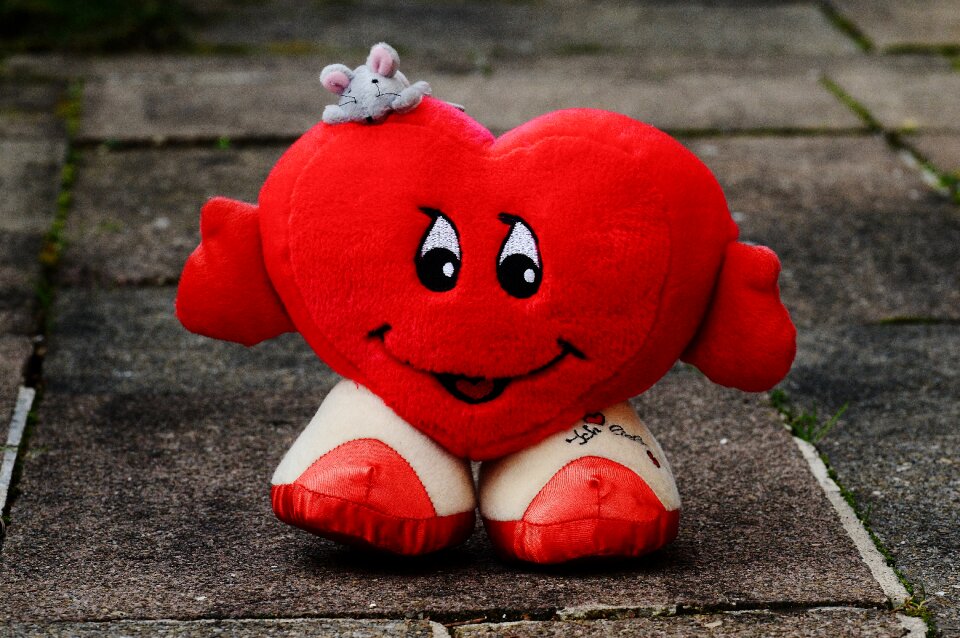 Valentine's day fabric plush
