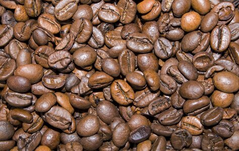 Coffee beans detail brown coffee photo