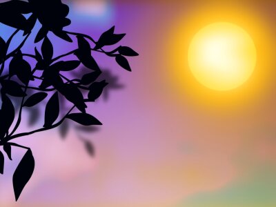 Nature autumn leaves light shade