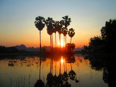 Sun rise cornfield green view photo