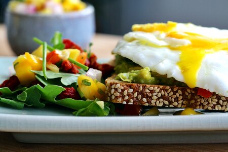 Sandwich open faced salad