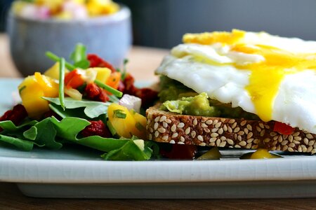 Sandwich open faced salad photo