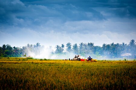 Fields agriculture workers photo