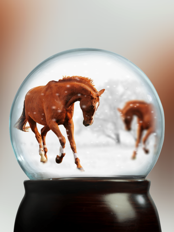 Snow pasture coupling