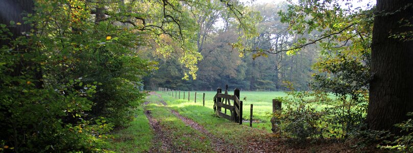Autumn landscape staverden
