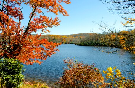 Fall foliage colorful appalachian mountains photo