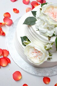 White dessert celebration photo