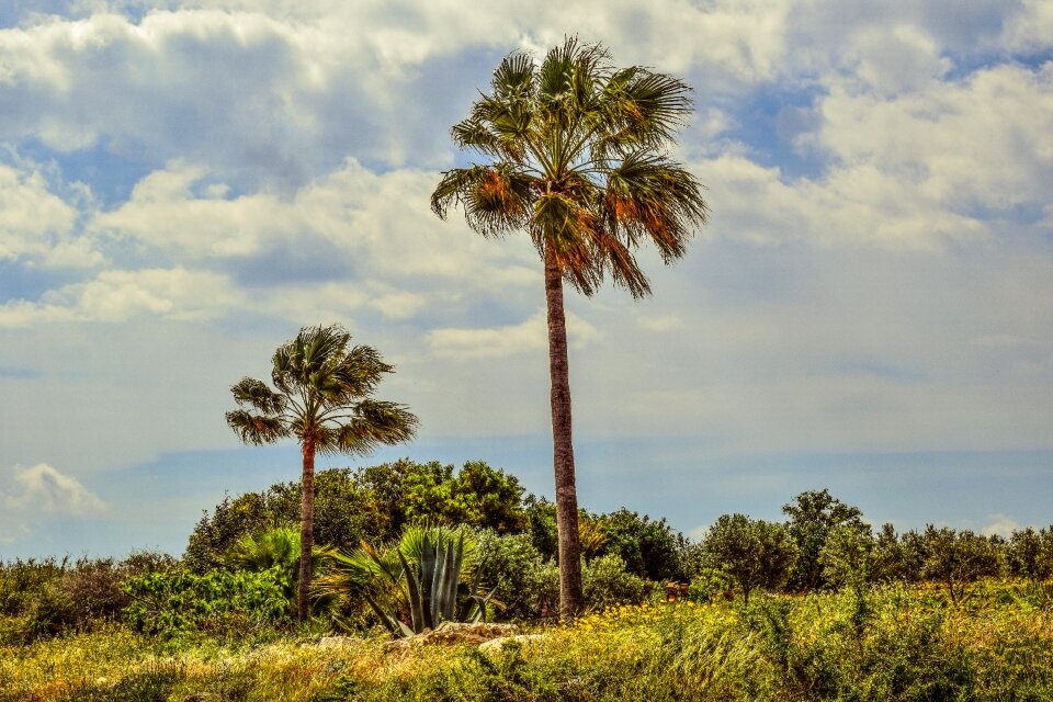 Landscape scenery mediterranean
