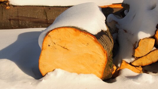 Firewood trunk timber photo