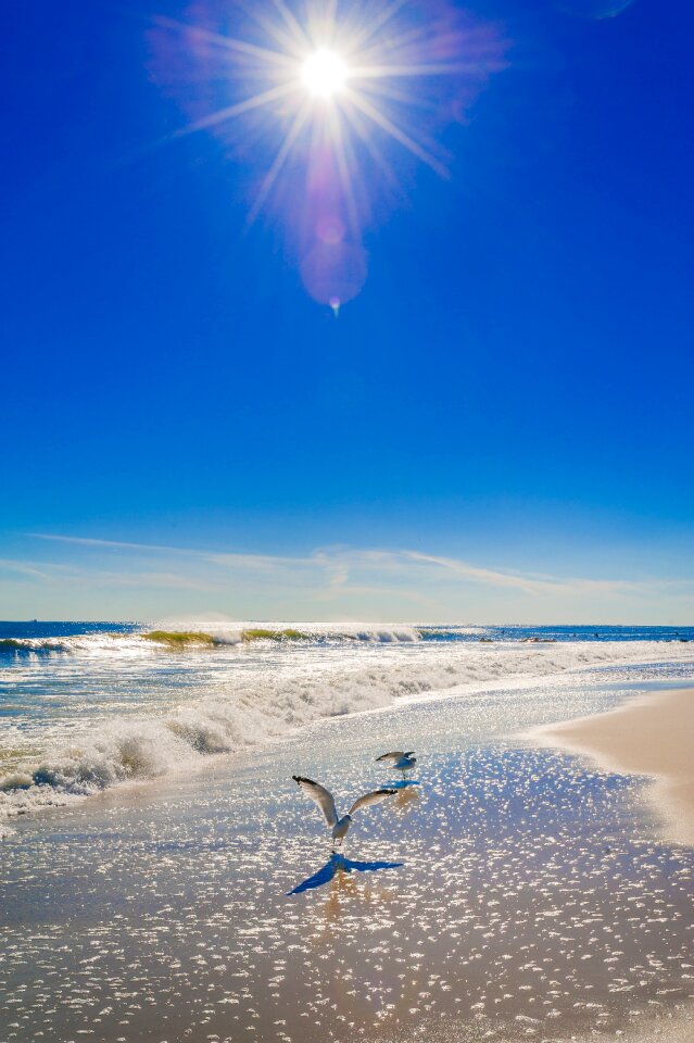 Water sea sand photo