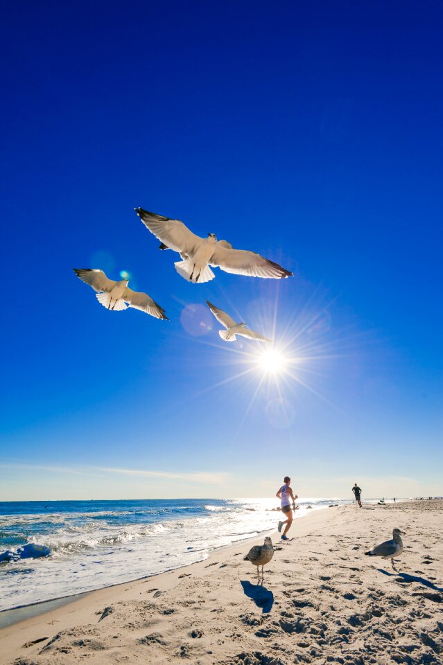 Water sea sand photo