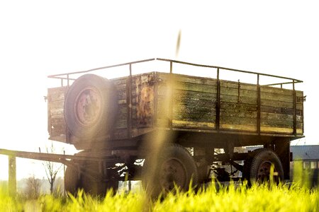 Grass warm oldtimer