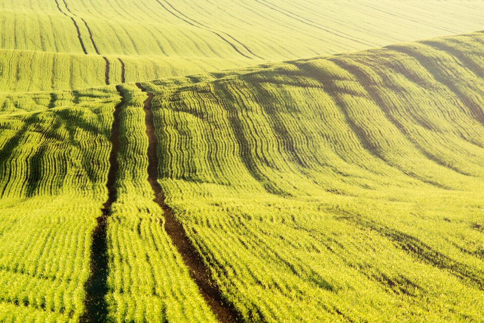 The low sun low light agriculture