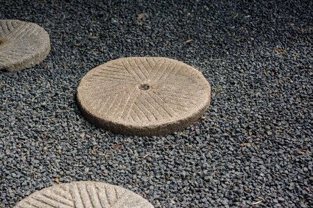 Dry landscape westin step landscape