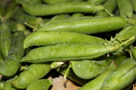 Huerta harvest green
