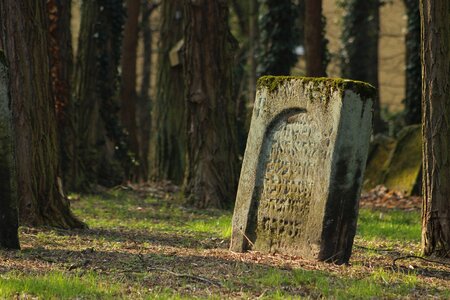 Grave stones graves tomb