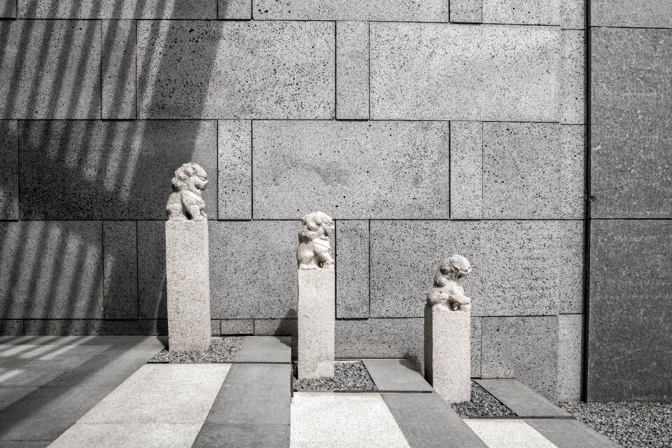 Stone lion sculpture texture