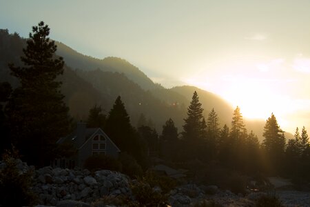 Sunset landscape pine trees